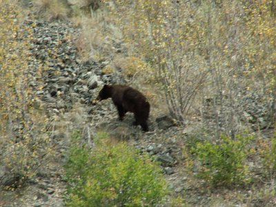 Summer Vacation 2007